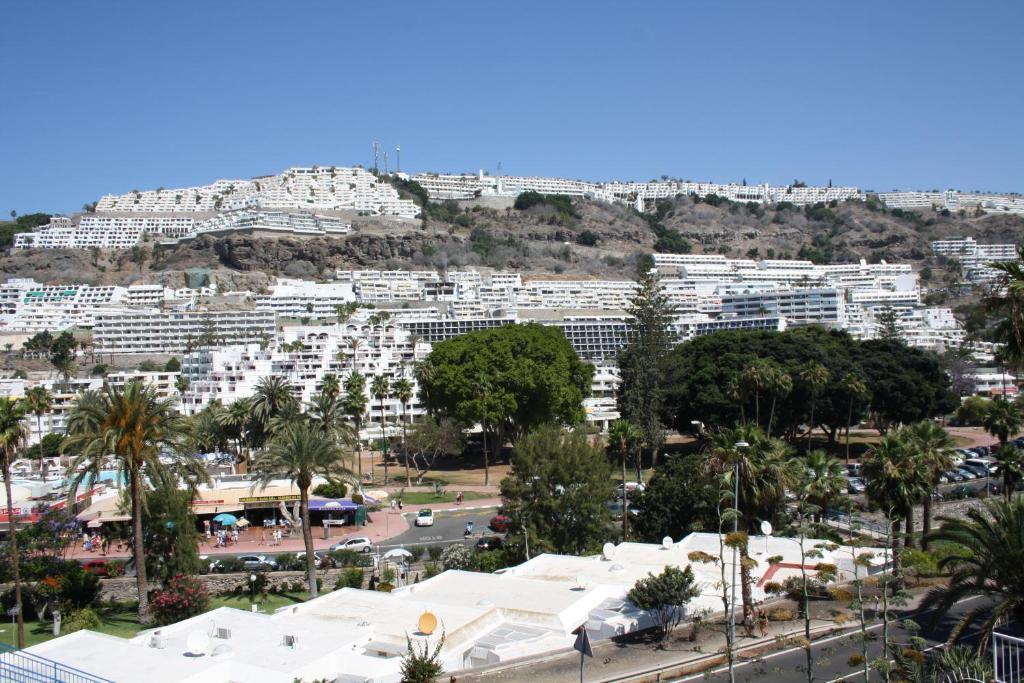 Apartamentos Mayagüez - Adults Only Puerto Rico  Dış mekan fotoğraf